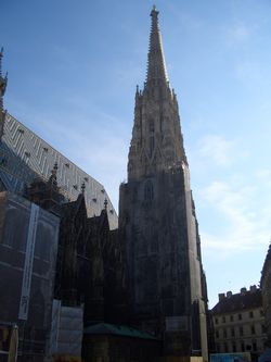 CIMG0885.JPG.JPG