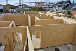 01 Vas DSC 1948 news.JPG PLY Rasche Montage der vorgefertigten Elemente